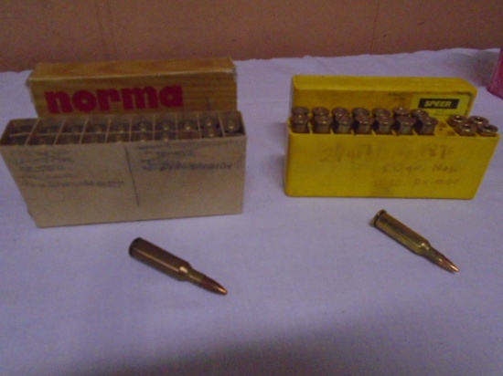 19 Rounds .250 SAV and 15 Rounds of 219 Wasp and 4 Brass Casings