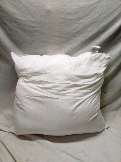 22" X 22" Pillow