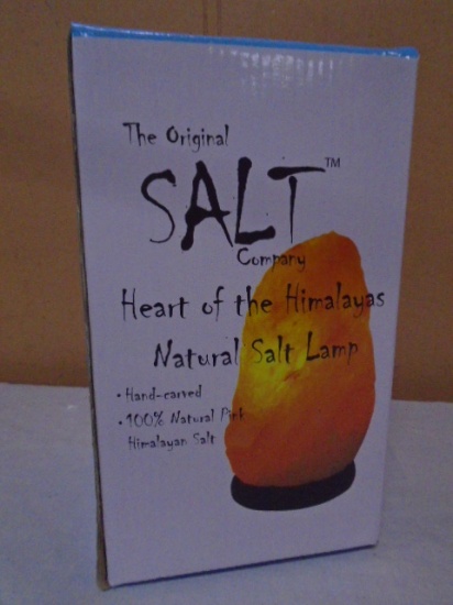 The Original Salt Co. Himalayan Salt lamp