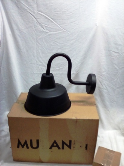 Mulandi Light Fixture