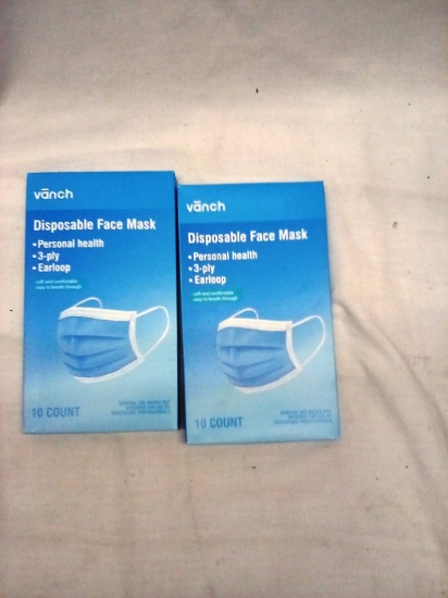 2boxes Disposable Face Mask (10/box)