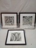 Qty: 3 Black And White Floral Wall Art 13”x13”