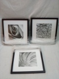 Qty: 3 Black And White Floral Wall Art 13”x13”