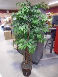 6ft Artificial Potted Ficus Tree