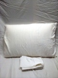 Standard Pillow With Pillow case