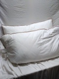 2 Standard Pillows