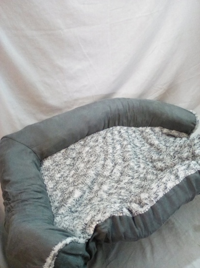 Large 32”x24” Egg Crate Foam Pet Bed
