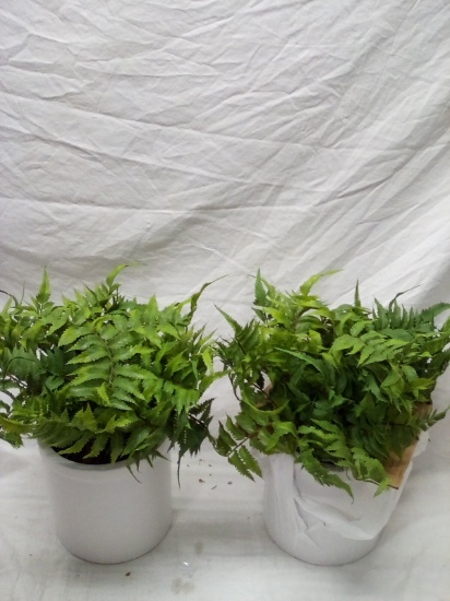 Artificial table Plants