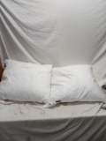 2- 24x24 Pillows