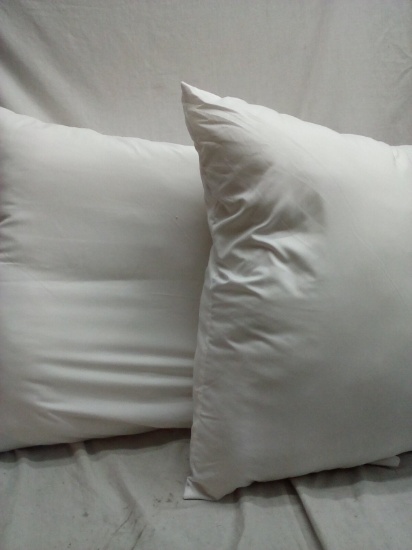 Square pillows 24inx24in quantity 2