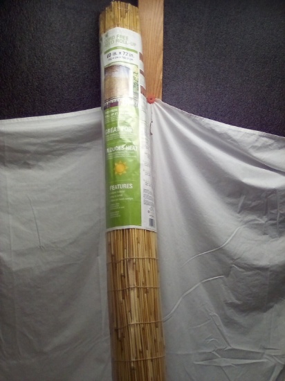 Radiance Cord Free 60"x72" Natural Reed Roll Up Blind