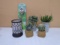 4 Pc. Group of Artificial Succulents/Accent Light/and Moisture Light/PH Meter