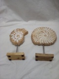 Wooden Seashell Décor