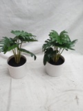 Pair of 11” Tall Faux Decorative Plants