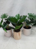 Approx 10 inch potted faux plants quantity 3