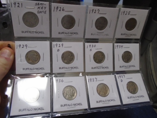 Group of 12 Assorted Date Buffalo Nickels