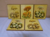 Group of 5 Vintage Wooden Mushroom Wall Hangers