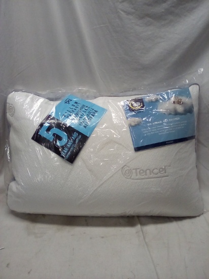 17"x24"x2" Serta Memory Foam Pillow