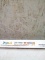 ifmei DIY Paint by Numbers Dolphin