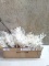 set of 6 glittered cedar and Ornament picks White