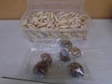 Large Group of Sea Shells
