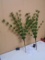 (2) Bethlehem Light Battery Powered LED Long Needle Spring Micro Light Sprays