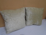 2 Matching Like New Accent Pillows