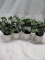 Threshold 4-Pack Artificial Plants.