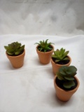 Set of 4 Table Top Mini Artificial Succulents