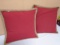Matching Pair of Pottery Barn Accent Pillows