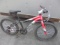 Raliegh Lily 5 Speed Child's Bicycle