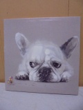 Dog Looking at Butterfly Canvas Wall Art