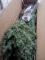 BCP 7.5’ Pre-lit Artificial Sparse Pine Christmas Tree w/ Multicolor LEDs
