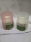Pair of TrueLiving Outdoors Frosted Glass Citronella Candles