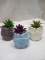 3Pc Set of Assorted Color Ceramic Owl Artificial Succulents