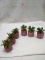 6Pc Set of 3” Terra Cotta Design Succulents