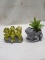 2Pc Ceramic Lot- Frogs on a Rock and Artificial Succulent Plant