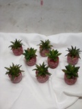 8Pc Lot of Mini Tabletop Succulents