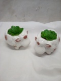 Pair of Decorative Tabletop Sheep Succulents