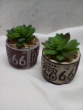 Pair of Decorative Route 66 Decorative Tabletop Succulents