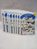8 Packs of Carpet of Snow Alyssum American Seeds