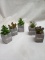 Set of 5 Tabletop Size Artificial Succulent Terrariums