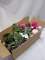 15.25”x5.75”x7” Overflowing Box of Artificial Floral Picks