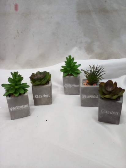 Set of 5 Tabletop Size Artificial Succulent Terrariums