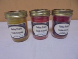 Group of(3) Rolling Prairie Candle Co. Jar Candles