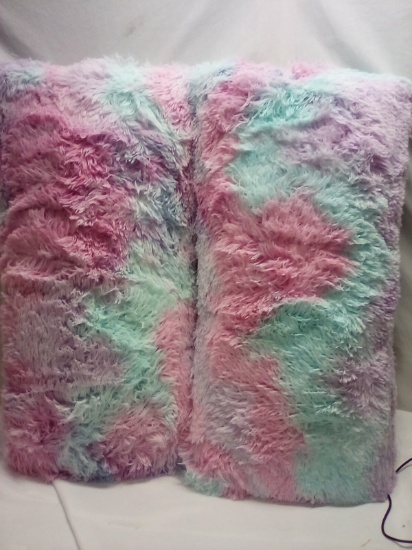 Qty 2 Multi Color Pillows