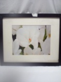 Qty 1 Floral Picture with Frame
