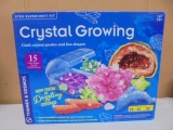 Crystal Growing Stem Experiment Kit