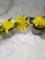QTY 3 Artificial flower pots
