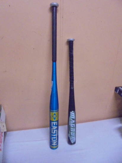 Easton & Magnum Aluminum Baseball Bats